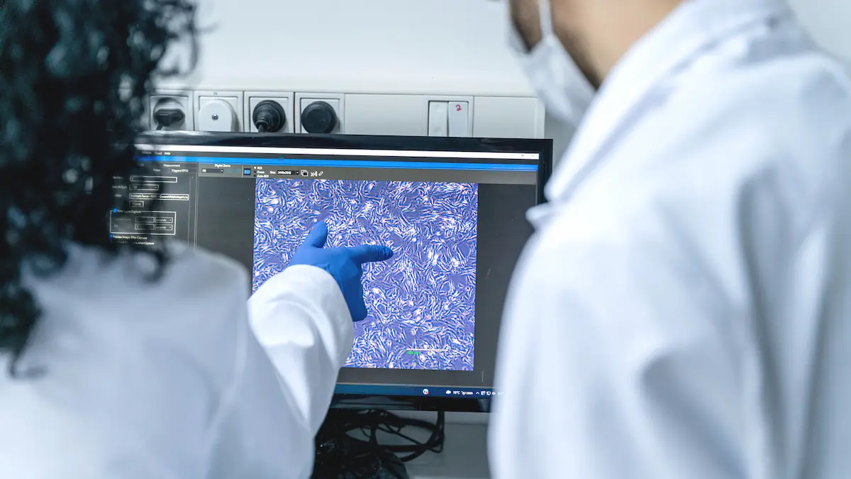 コンピュータに映した細胞を観察する二人の科学者