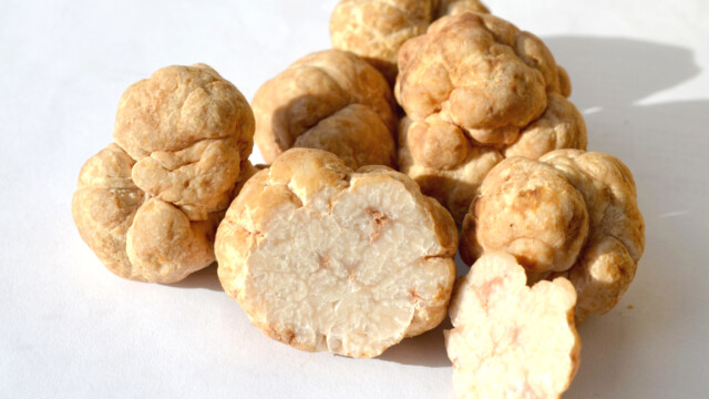 🇺🇸米MycoTechnology、砂糖の2,500倍の甘さを持つハニートリュフ由来プロテインのGRAS自己認証を実施

-------------------------
MycoTechnologyは2023年にハニートリュフ🍄‍🟫に含まれる甘味タンパク質を発見し、単離に成功。

#精密発酵 により微生物にこの甘味成分を生成させる手法を確立し、このたび商業生産を開始しました🍯 🥄

使用コストは砂糖と同等で、将来的にはその他の代替甘味料とも競争力を持つようになると予測されています。

🔗記事本文は、プロフィールのリンクから

#細胞農業 #代替プロテイン #代替タンパク質 #フードテック #代替甘味料 #精密発酵タンパク質 #ハニートリュフ #甘味タンパク質 #代替砂糖 #添加糖 #微生物発酵