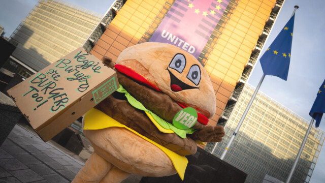 🇪🇺植物性代替肉の表示論争が続くEU、議会で合意に至らず決定は2026年に持ち越し

-------------------------
EU域内で10年近くにわたって続いてきた、植物性代替肉🌱🍔の表示を巡る議論（ベジバーガー論争）が再燃しています。

代替肉に「ステーキ」「ハンバーガー」など食肉関連用語の使用を禁止する内容の法案が改めて出され、加盟国間で議論されていましたが、結局まとまらず交渉は延期に。

今後の成り行きは不透明ですが、無意味な禁止措置に反対の声が数多く挙がっています🙅‍♀️🪧

🔗記事本文は、プロフィールのリンクから

#代替プロテイン #代替タンパク質 #フードテック #植物性プロテイン #植物性タンパク質 #植物性たんぱく質 #植物性食品 #植物性代替肉 #代替肉 #ヴィーガンフード #ヴィーガン食品 #ベジバーガー #欧州議会