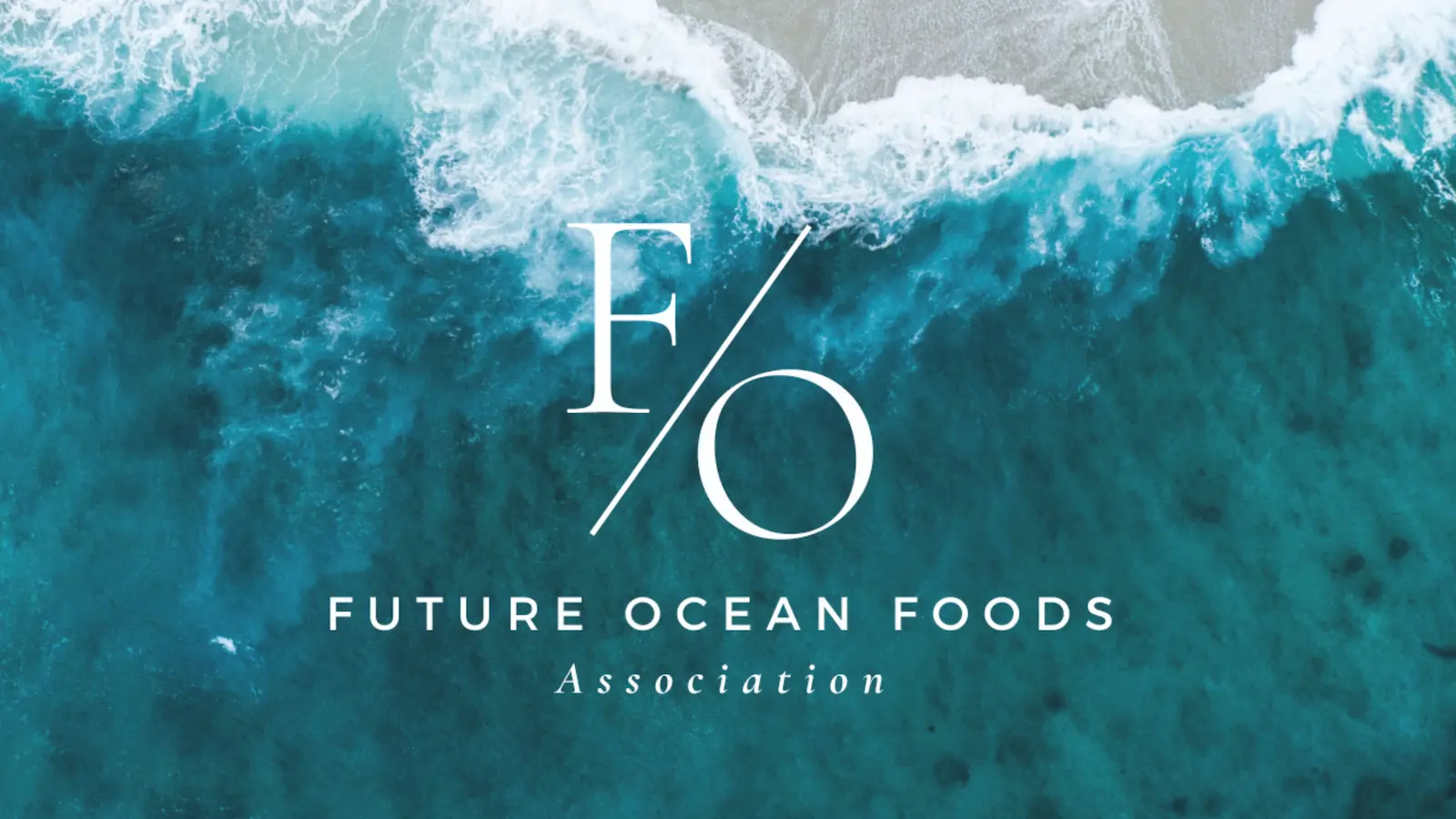 Future Ocean Foodsロゴ