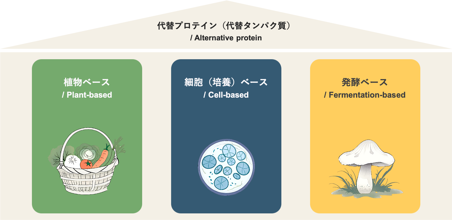 代替プロテイン（代替タンパク質）の3カテゴリー