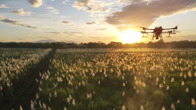 🇬🇹ラテンアメリカの製糖大手Magdalenaが、グアテマラに65万リットル規模の精密発酵施設を計画

-------------------------
砂糖市場には価格が非常に不安定という欠点があり、Magdalenaとしては単一市場への依存度を下げる狙いがあるとのこと。

豊富にある砂糖を原料に用いて行える#精密発酵 への進出は、「理にかなった選択」とされています。

グアテマラの製糖工場に隣接した土地で、新施設を5月に着工し、2029年までの完了を目指します🏗️

🔗記事本文は、プロフィールのリンクから

#細胞農業 #代替プロテイン #代替タンパク質 #フードテック #製糖工場 #バイオケミストリー #合成生物学 #アップサイクル #微生物発酵