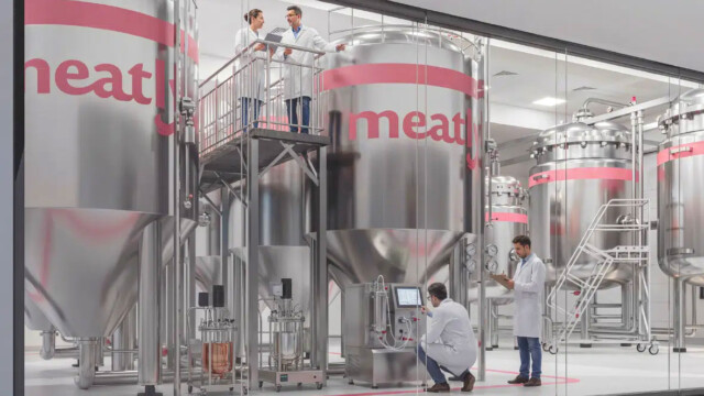 🇬🇧英Meatly、ロンドンに2万リットル規模の培養肉工場を建設するため、シリーズAラウンドで約22億円を調達

-------------------------
Meatlyは、2024年に英国で規制当局の認可を取得し、昨年世界初の培養ペットフード🐕を発売した企業。

培地🧫やバイオリアクター（培養タンク）の大幅なコスト削減に成功し、低価格の生産ができていることで投資家からの評価を獲得しました。

集めた資金で欧州最大の培養肉工場🏭を立ち上げて、2027年の供給開始を予定しています。

🔗記事本文は、プロフィールのリンクから

#細胞農業 #代替プロテイン #代替タンパク質 #フードテック #細胞性食品 #培養肉 #培養肉開発 #培養肉生産 #培養肉工場 #培養ペットフード #ヴィーガンペットフード #細胞培養