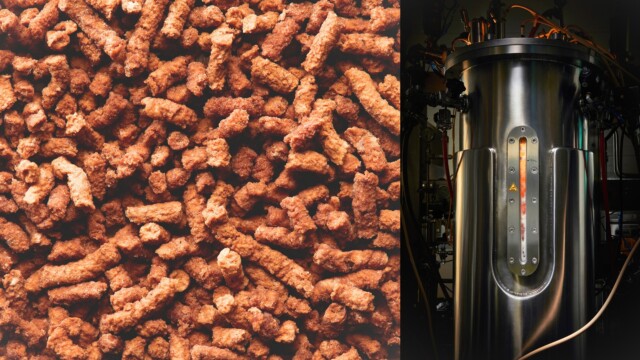 🇫🇮Eniferがペットフード向けマイコプロテイン「PEKILO Pet」の初の商業規模バッチ生産を完了

-------------------------
「PEKILO Pet」は、#糸状菌 の一種をバイオマス発酵させて作られるタンパク質原料で、とりわけペットフード用途🐕🐈に特化したもの。

初めて4トン単位の生産を成功させ、ペットフードメーカーへの本格的な量の出荷が可能になりました。

今後は実際の製造条件下での検証段階に移行して、製品開発や試験を行う予定です。

🔗記事本文は、プロフィールのリンクから

#代替プロテイン #代替タンパク質 #フードテック #代替肉 #菌糸 #菌糸体 #バイオマス発酵 #マイコプロテイン #微生物タンパク質 #微生物発酵