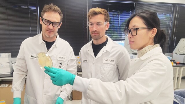 🇩🇪x🇺🇸独SymriseがCellibreに出資、発酵技術に基づく香料イノベーションを食品・飲料市場向けに拡大へ

-------------------------
強靭で透明性の高いサプライチェーン構築を目指す動き。

Cellibreの精密発酵プラットフォームへのアクセスを得て、クリーンラベル原料の開発を進める狙いです🧪👃

短期的には食品・飲料向けの天然甘味料や香料に焦点を当て、長期的には化粧品有効成分への展開も見据えています。

🔗記事本文は、プロフィールのリンクから

#細胞農業 #バイオものづくり #フードテック #精密発酵 #天然甘味料 #芳香化合物 #香料メーカー #微生物工学 #クリーンラベル #微生物発酵