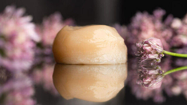 🇺🇸発酵による代替シーフードのパイオニアAQUA Cultured Foods、規模拡大と資金調達に難航し閉鎖を決断

-------------------------
生のマグロやホタテの見た目と食感を再現した製品の生産に注力し、創業5年でミシュラン星付きレストランへの供給も実現🐟🦪

しかしながら、投資家の優先度低下など資金調達環境の変化💸が、事業停止の主要因となりました。

目下、幅広く応用可能な技術をはじめとした資産の譲渡先を探して協議を行っています。

🔗記事本文は、プロフィールのリンクから

#代替プロテイン #代替タンパク質 #フードテック #代替魚 #代替シーフード #バイオマス発酵 #未来の食 #細胞培養