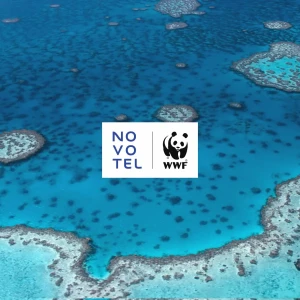 海