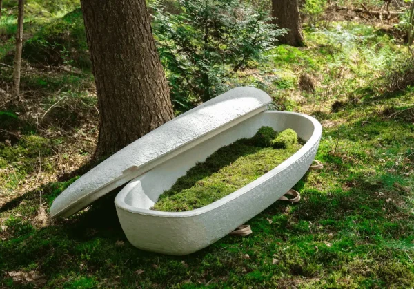 菌糸体製の棺