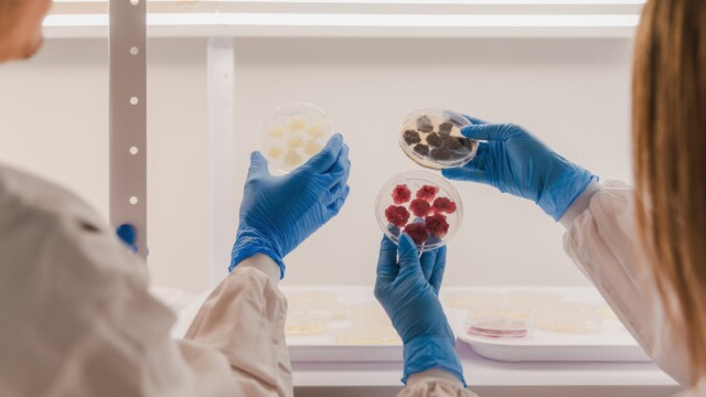 🇮🇱x🇦🇺NovellaとMetaphor Foodsが提携を実施、植物細胞を培養した天然保存料の商品化へ

-------------------------
天然の酸化防止剤（ミックストコフェロールやローズマリー抽出物）には、オフフレーバー、効果のばらつき、コストやサプライチェーンといった面での制約⛓️があるとのこと。

Novellaが開発した廃棄物ゼロの培養プラットフォームは、資源使用量を99％削減しつつ、こうした制約を克服します🌱🧫

Metaphor Foodsのブランドで商品化し、米国とアジア太平洋で展開する計画です。

🔗記事本文は、プロフィールのリンクから

#細胞農業 #代替素材 #フードテック #酸化防止剤 #天然保存料 #バイオものづくり #クリーンラベル #細胞培養