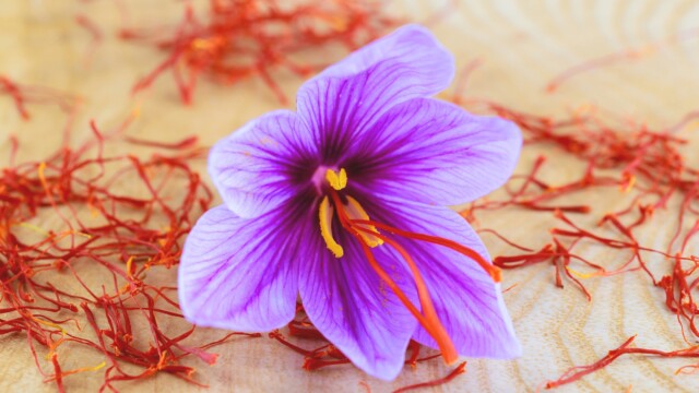 🇺🇸米Krokos Bioがステルスから脱却、植物細胞を培養して希少なサフランを生産

-------------------------
サフランは1kgを収穫するのに17万本もの花が必要な上、その収穫は手作業で行われるのが通例。

さらに、最大生産地のイランでは干ばつ☀️の影響を受け、非常な高値で取引されています。

植物細胞の培養という手法は、こうした気候変動に対して脆弱な作物の栽培を補完するものとして、近年有望視される存在に🧫🔬

ほかにもカカオやコーヒー、バニラなどの生産に活用されている事例があります。

🔗記事本文は、プロフィールのリンクから

#細胞農業 #フードテック #サフラン栽培 #バイオものづくり #細胞培養