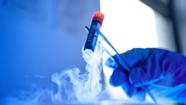 🇩🇪独BLUUが培養シーフードから事業の幅を広げ、海洋由来の生物活性成分を美容・健康分野へ展開

-------------------------
市場化まで時間のかかるシーフード🐟に加えて、スキンケアなどの分野へと多角化を決断しました。

アンチエイジングや皮膚の再生効果で知られるサケ科魚類由来の生物活性成分を、細胞培養により生産。

従来の調達方法に伴う環境や動物への悪影響なしに、有効性が認められてきた生物活性物質を供給します🧪

🔗記事本文は、プロフィールのリンクから

#細胞農業 #細胞水産業 #培養魚 #培養シーフード #海洋由来成分 #アンチエイジング #皮膚の再生 #生物活性物質 #アニマルフリー #細胞培養