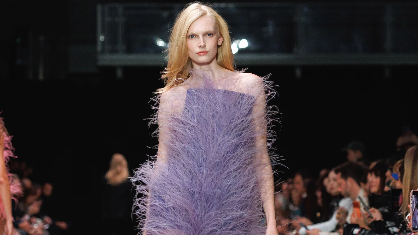 代替羽毛のドレス