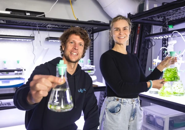 Uluuの創業メンバー