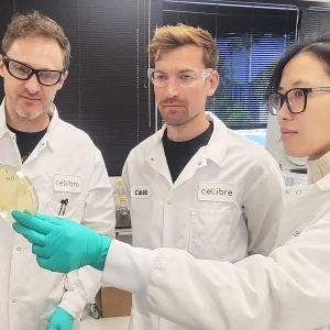 Cellibreのメンバー