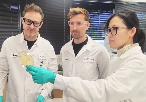 Cellibreのメンバー