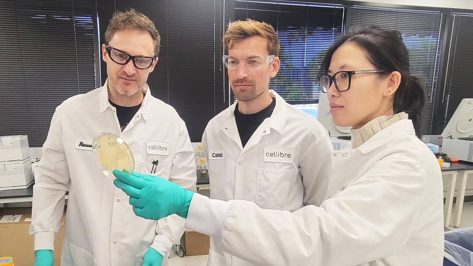 Cellibreのメンバー