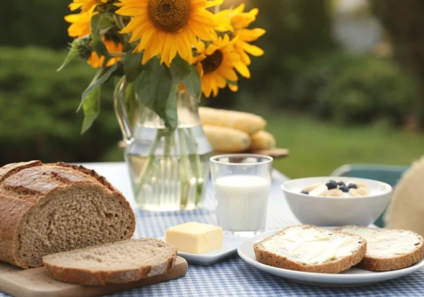 ヒマワリとマーガリンを塗ったパン