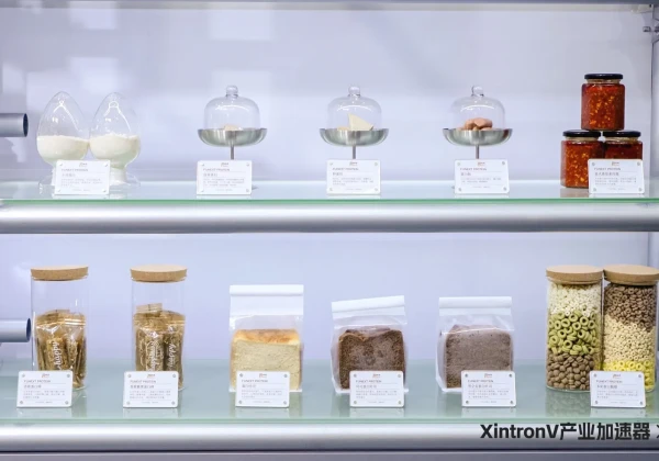 タンパク質パウダー