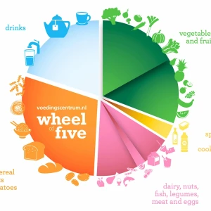 食事のバランスを表す円グラフ