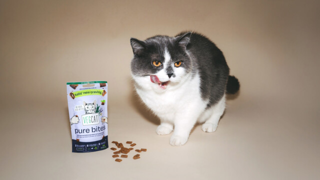 🇩🇪VEGDOGが植物由来のキャットフードに進出、MicroHarvestの発酵タンパク質を用いた低アレルギー性スナックを発売

-------------------------
昨年成功を収めたドッグフードに続く、微生物タンパク質を活用した製品の第2弾🍽️🐈

完全肉食動物である猫は、非動物性のタンパク質では満足しにくいとこれまで考えられてきましたが、原料の自然な嗜好性でこれを解決しました。

動物由来のものが多い食物アレルゲンも排除し、さらにはカーボンフットプリントも大幅に低減した製品です🌏

🔗記事本文は、プロフィールのリンクから

#代替プロテイン #代替タンパク質 #フードテック #バイオマス発酵 #微生物タンパク質 #ヴィーガンペットフード #ヴィーガンキャットフード #微生物発酵