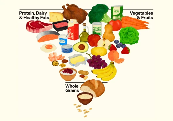 食品ピラミッド