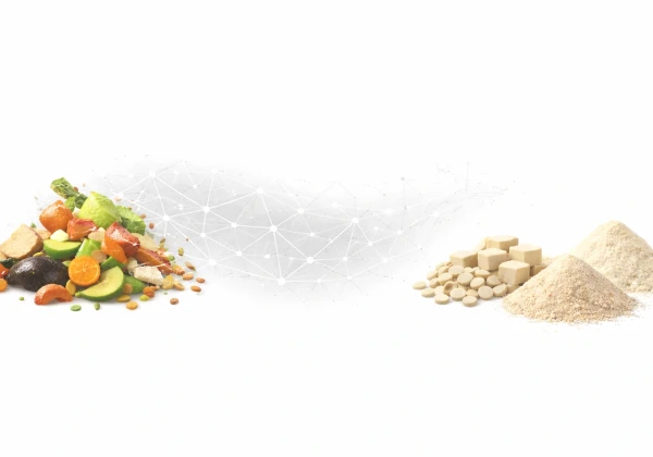 原料の野菜とタンパク質パウダー