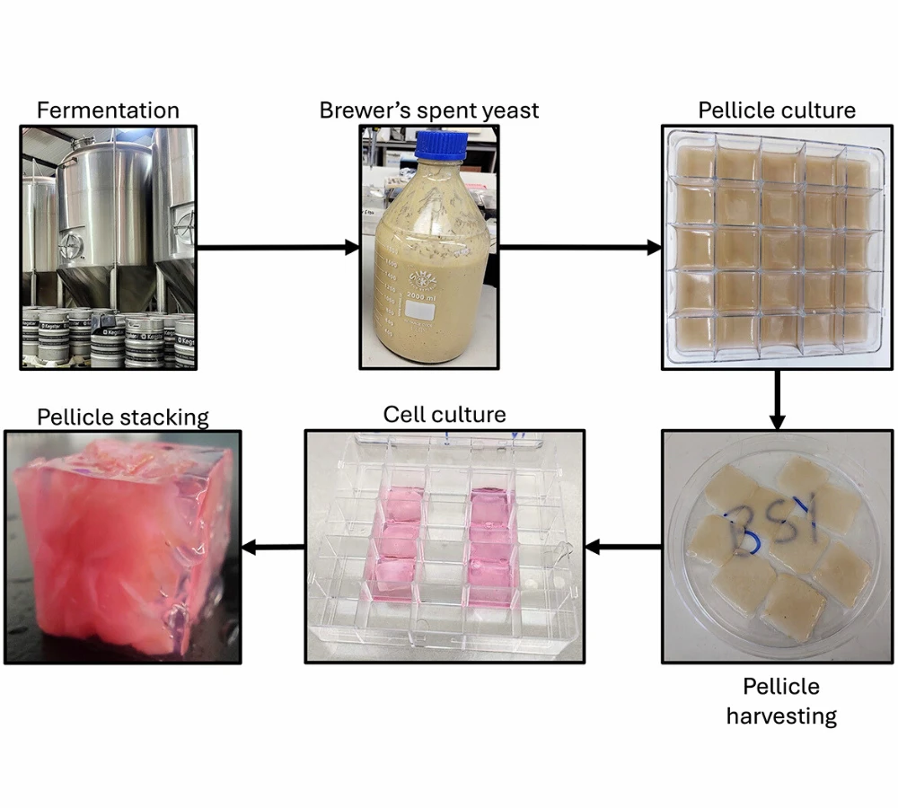足場作製の手順