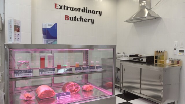 🇰🇷韓国の培養肉企業TissenBioFarm、組織工学により従来の食肉と同等の細胞密度を達成

-------------------------
肝心のデータの開示はありませんが、場合によっては従来の食肉🥩の2倍の細胞密度も実現可能とのことです。

培養肉はもはや実現の可能性を議論する段階ではなく、「現実に測定可能な技術的成果が見られる」段階に入っているとTissenBioFarmは主張。

今後は、「細胞密度を高めた培養肉がどのようなメリットをもたらすか」という下流の価値創造へと焦点を移し、技術開発を続けていく意思を示しています🧫🔬

🔗記事本文は、プロフィールのリンクから

#細胞農業 #代替プロテイン #代替タンパク質 #フードテック #細胞性食品 #培養肉 #培養肉開発 #培養肉生産 #培養肉の生産技術 #組織工学 #細胞培養