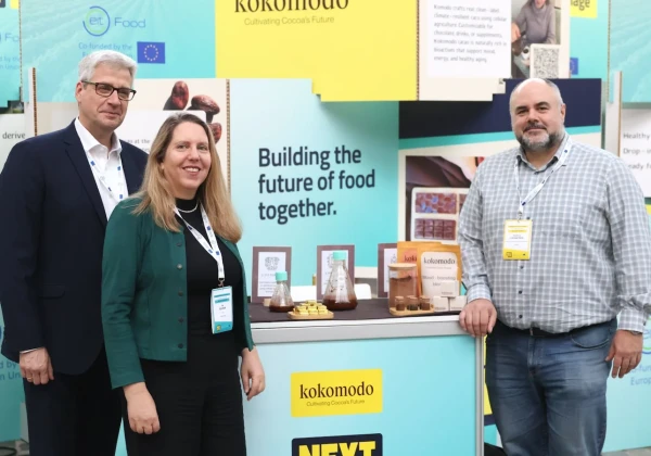 Kokomodoのメンバー