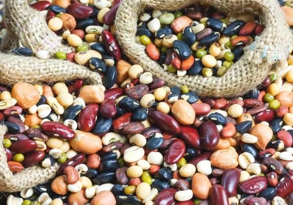 色んな豆