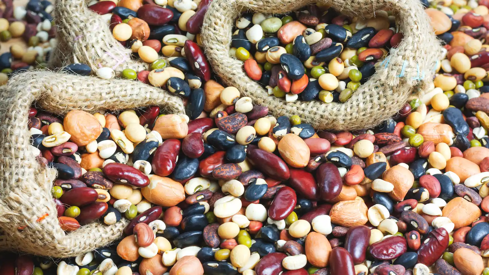 色んな豆