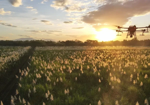 農場とドローン