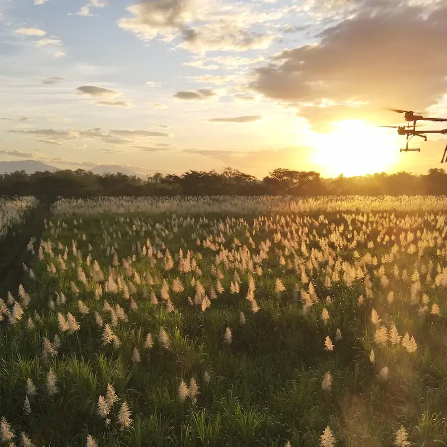農場とドローン