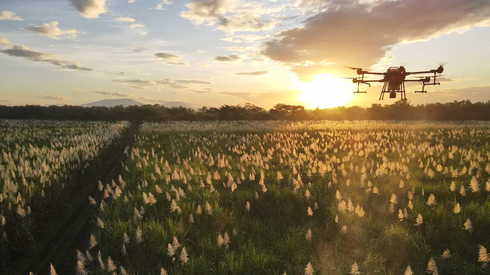 農場とドローン