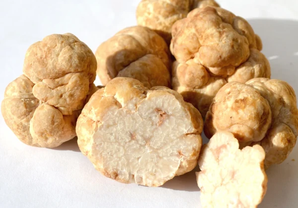 ハニートリュフ