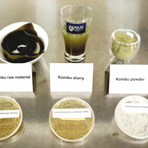 シャーレの培養物