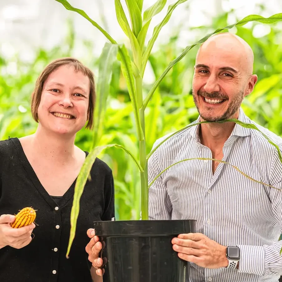 Rainbow Cropsのメンバー