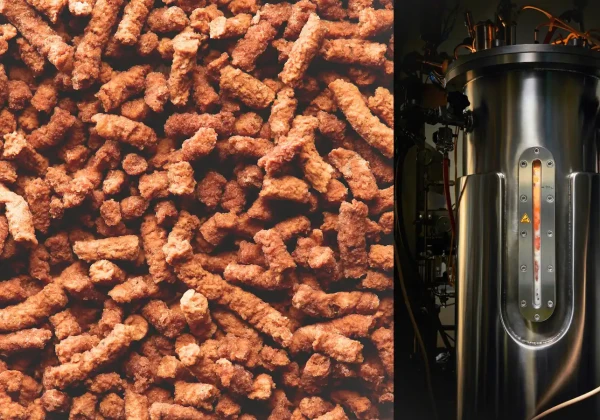 製品とバイオリアクター