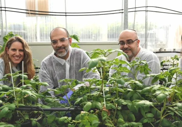 Finally Foodsのメンバー