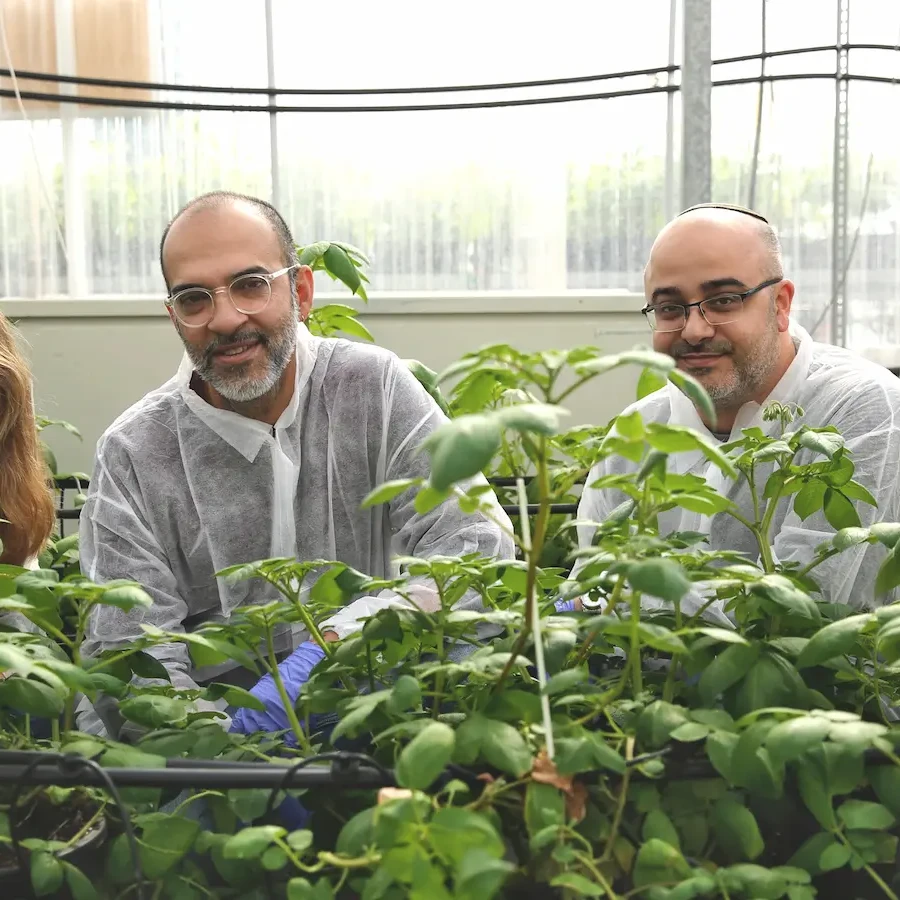 Finally Foodsのメンバー