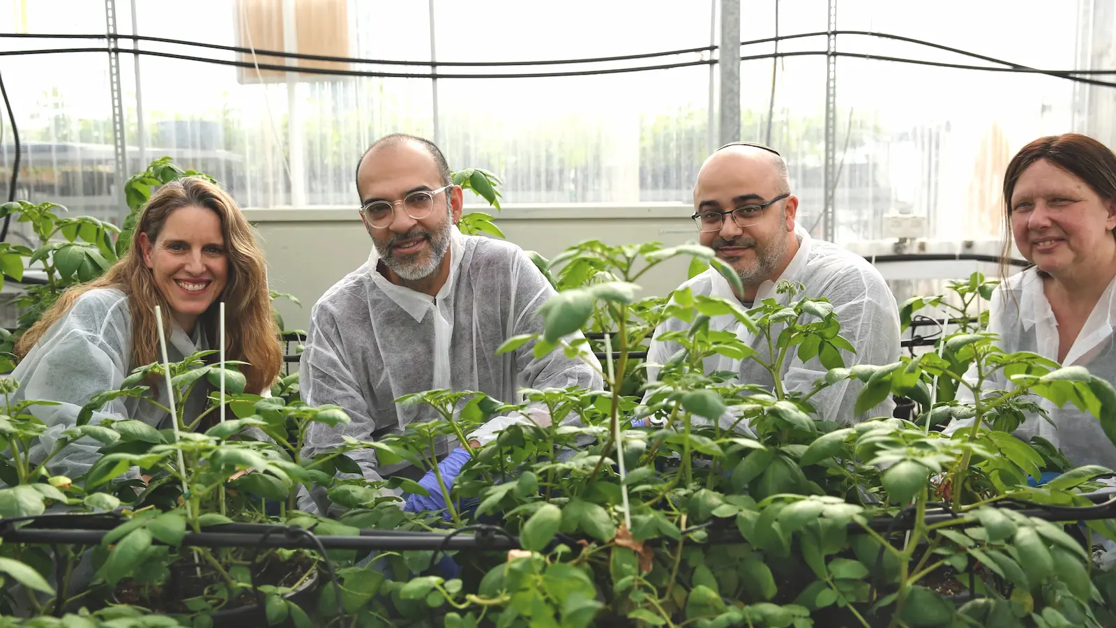 Finally Foodsのメンバー