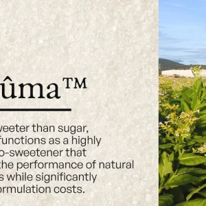 「Thaûma」の説明