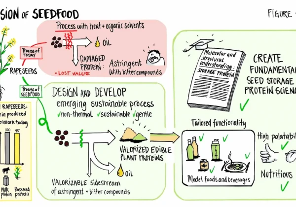 「SEEDFOOD」プロジェクトのビジョン