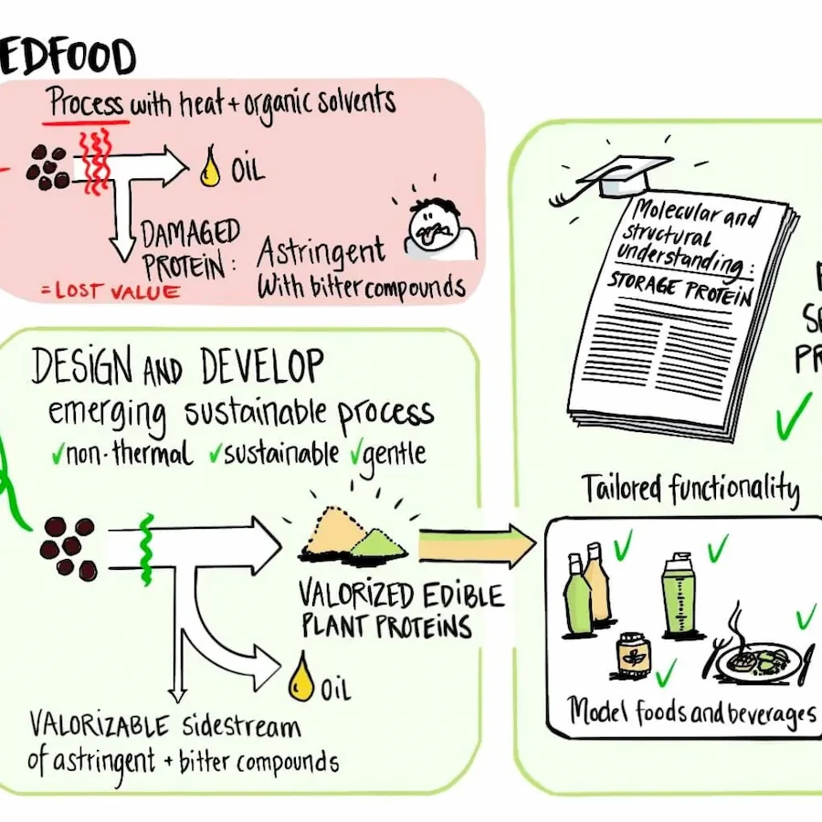 「SEEDFOOD」プロジェクトのビジョン