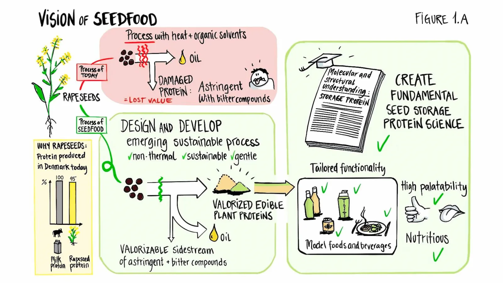 「SEEDFOOD」プロジェクトのビジョン
