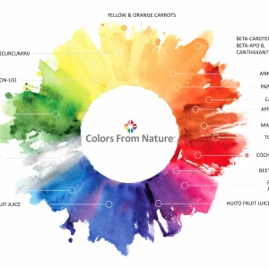 「Colors from Nature」カラーパレット