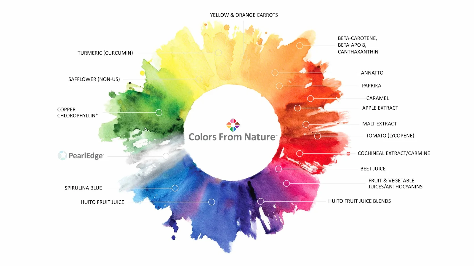 「Colors from Nature」カラーパレット