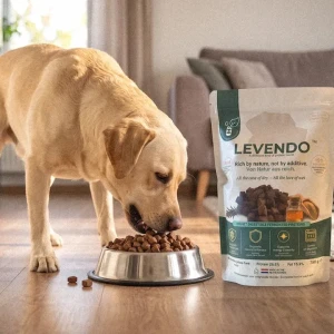 ドッグフードを食べる犬